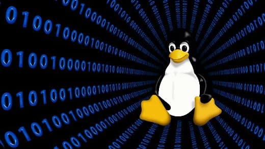Linux BTRFS Lab Image